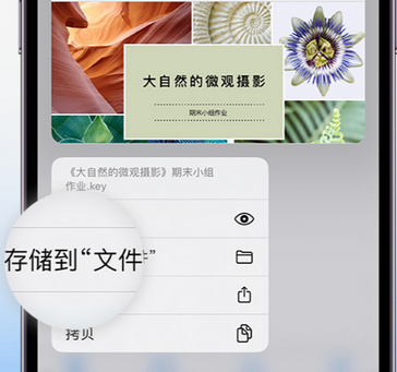 建昌apple维修中心分享iPhone文件应用中存储和找到下载文件