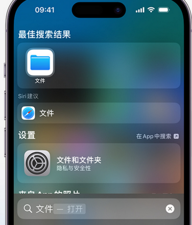 建昌apple维修中心分享iPhone文件应用中存储和找到下载文件