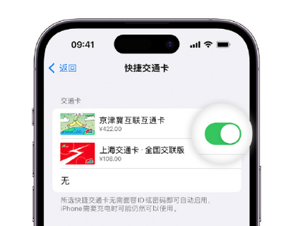 建昌apple维修点分享iPhone上更换Apple Pay快捷交通卡手绘卡面 