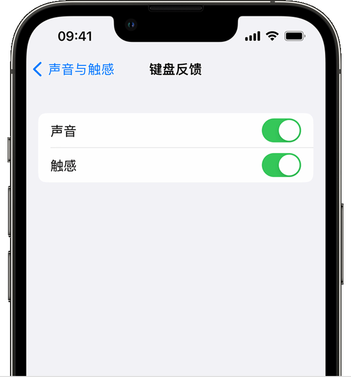 建昌苹果14维修店分享如何在 iPhone 14 机型中使用触感键盘 