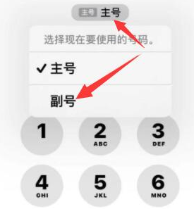 建昌苹果14维修店分享iPhone 14 Pro Max使用副卡打电话的方法 