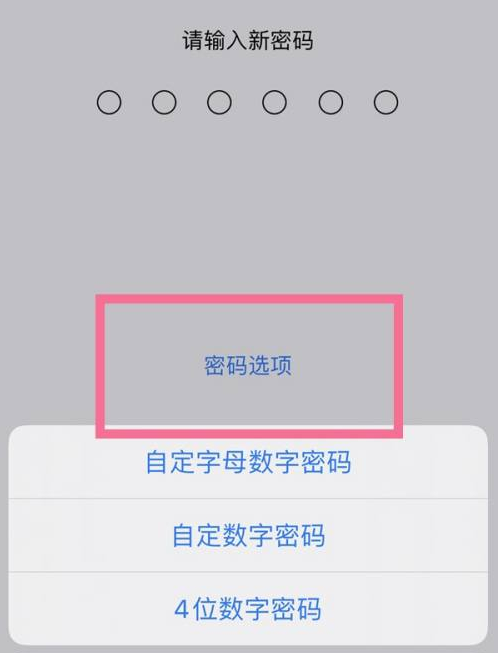 建昌苹果14维修分享iPhone 14plus设置密码的方法 