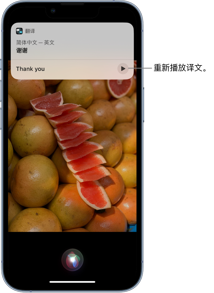 建昌苹果14维修分享 iPhone 14 机型中使用 Siri：了解 Siri 能帮你做什么 