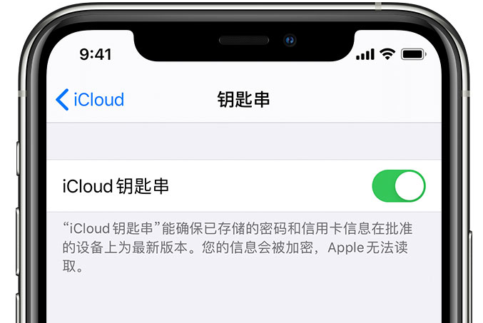 建昌苹果手机维修分享在 iPhone 上开启 iCloud 钥匙串之后会储存哪些信息 