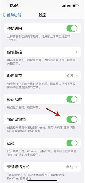 建昌苹果手机维修分享iPhone手机如何设置摇一摇删除文字 